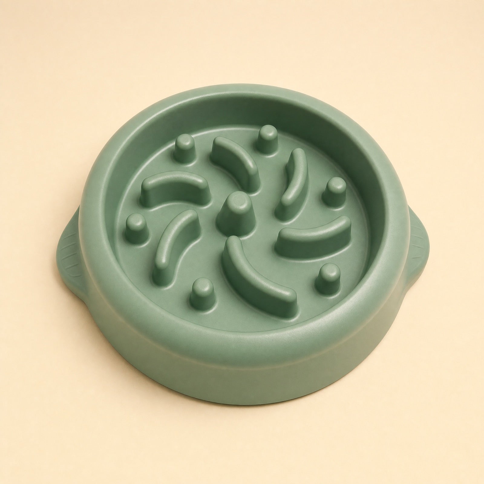 Slow Feeder Bowl